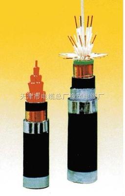 KVV、KVV22、KVV32控制電纜規(guī)格型號(hào)詳解與國(guó)家標(biāo)準(zhǔn)的遵循——以天津市電纜總廠橡塑電纜廠為例