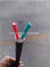 天津市電纜總廠橡塑電纜廠控制電纜產(chǎn)品展示